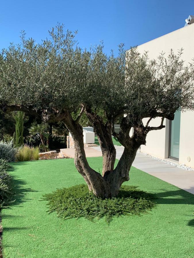 Villa Las Colinas Golf Resort Dehesa de Campoamor  Eksteriør billede